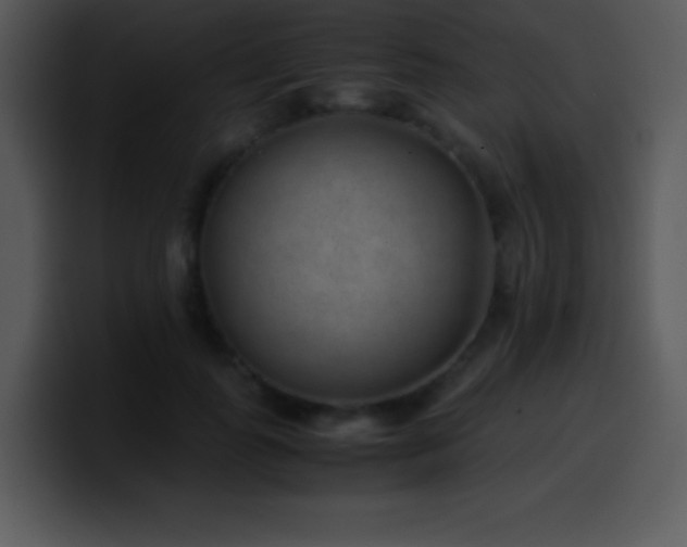 X0000100420747200806061402
