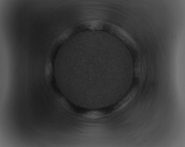 X0000100420748200806061402