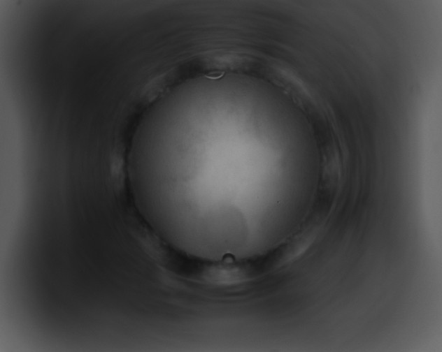 X0000100420749200806061402