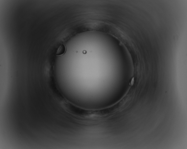 X0000100420750200806061402