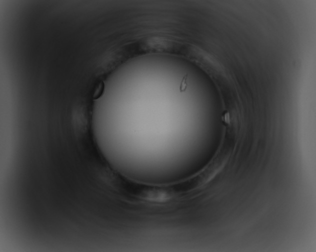 X0000100420751200806061402