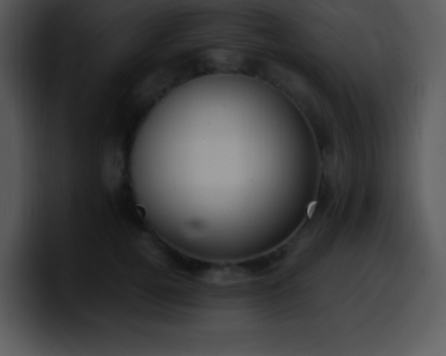X0000100420752200806061402
