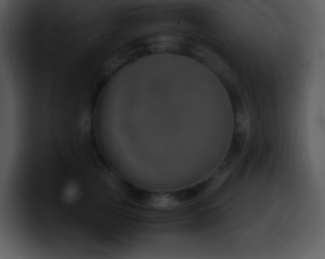 X0000100420753200806061402