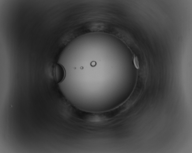 X0000100420755200806061403