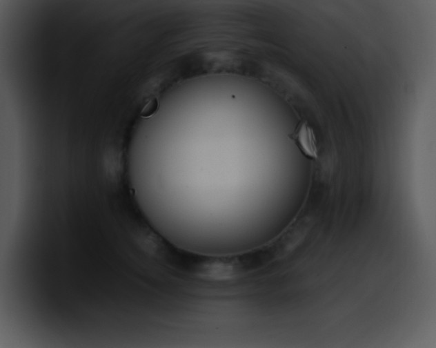 X0000100420756200806061403