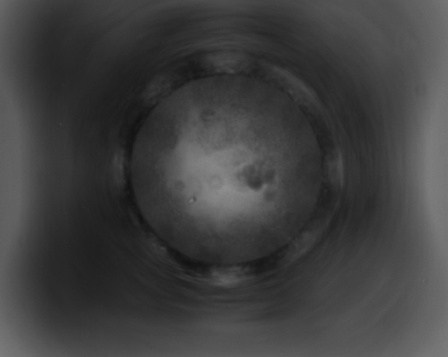X0000100420757200806061403