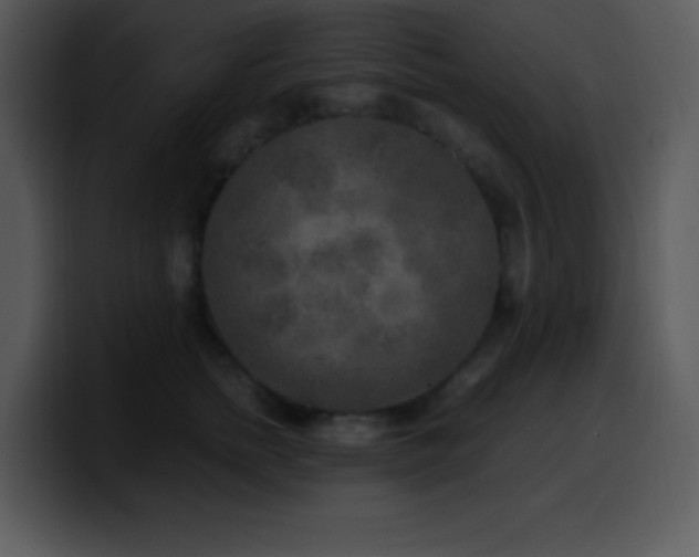 X0000100420758200806061403