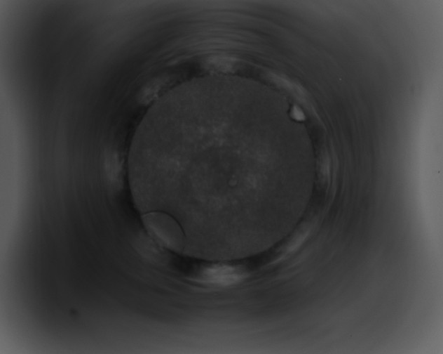 X0000100420759200806061403