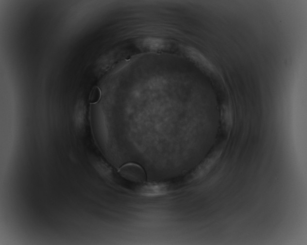 X0000100420760200806061403