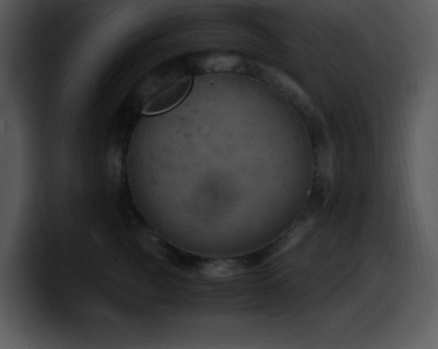 X0000100420761200806061403
