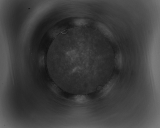 X0000100420762200806061403
