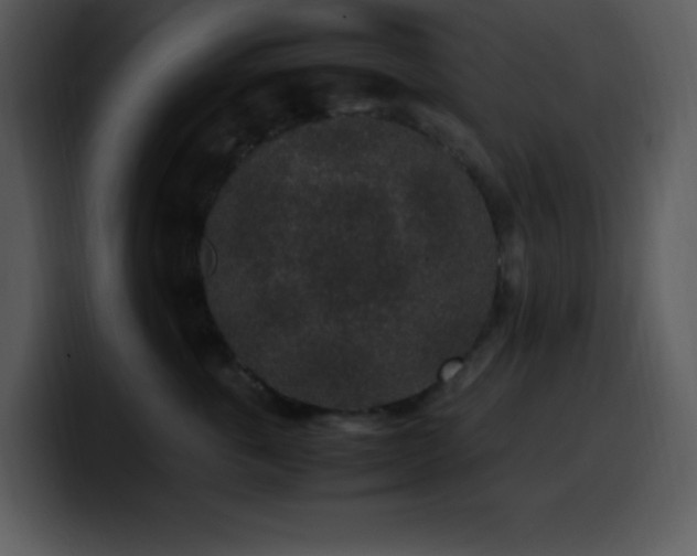 X0000100420763200806061403
