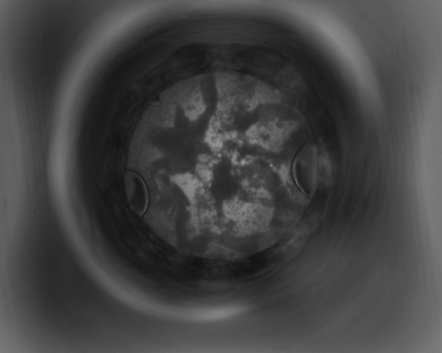 X0000100420765200806061403