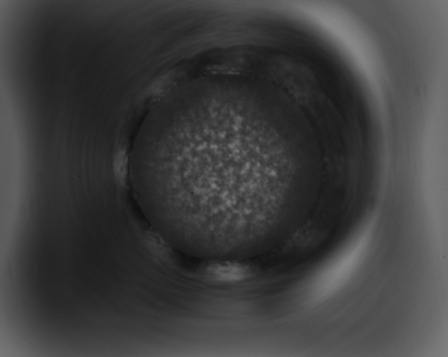 X0000100420767200806061403