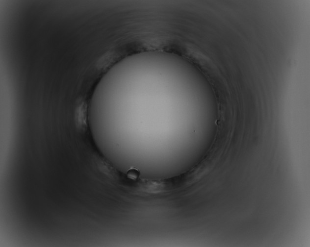 X0000100420768200806061403