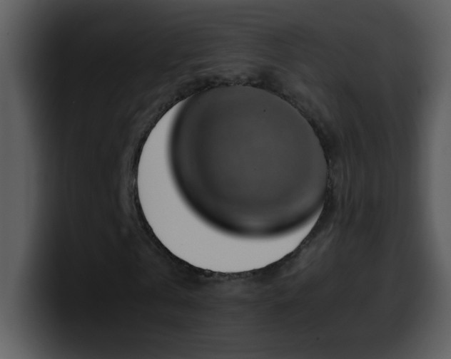 X0000100420769200806061402