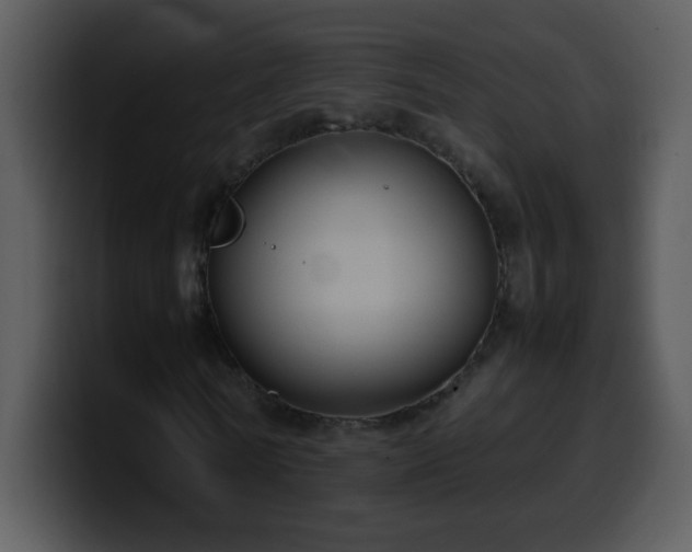 X0000100420770200806061402
