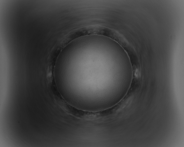 X0000100420771200806061402
