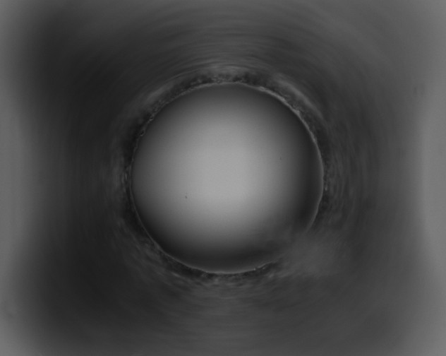 X0000100420773200806061402