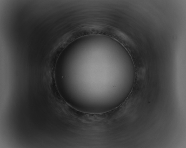 X0000100420774200806061402