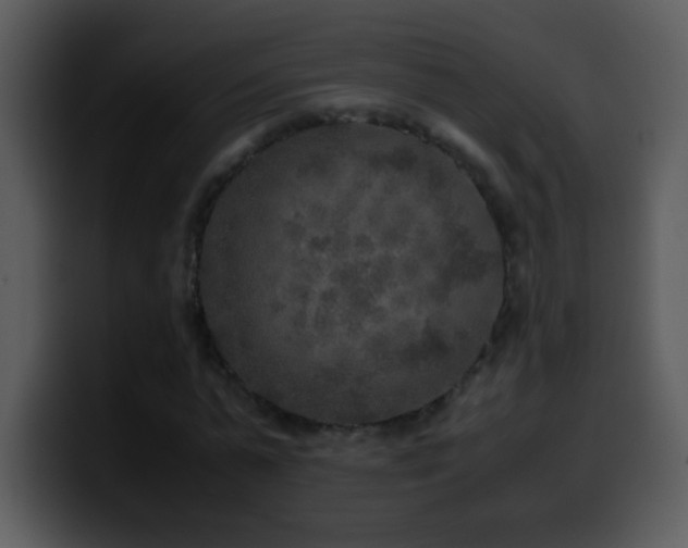X0000100420775200806061402