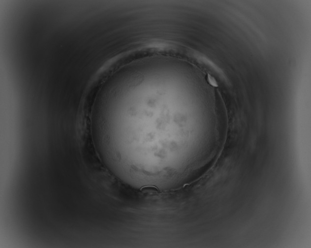 X0000100420776200806061402