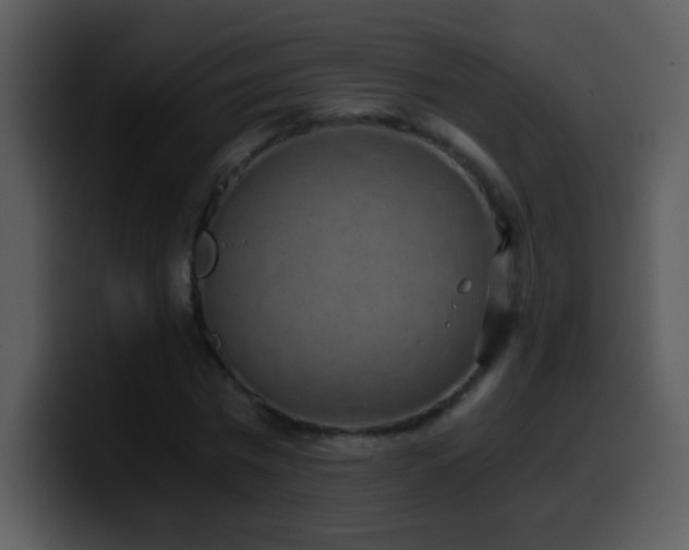 X0000100420777200806061402