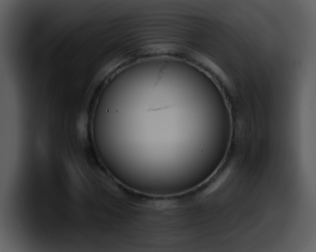 X0000100420778200806061402