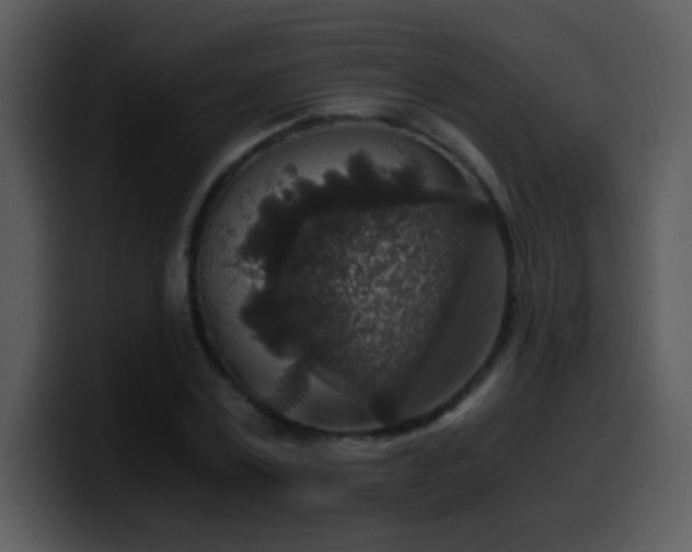 X0000100420779200806061402