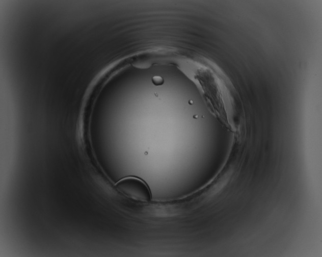 X0000100420780200806061402