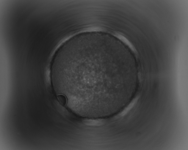 X0000100420781200806061402