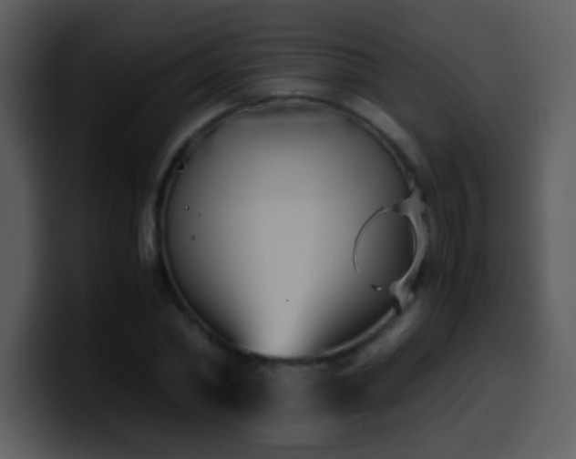 X0000100420782200806061402