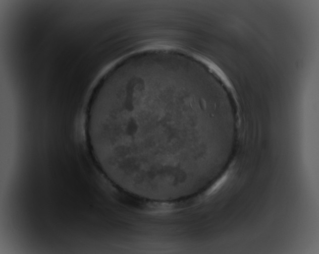 X0000100420783200806061402