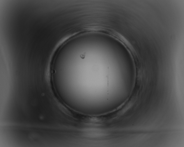 X0000100420787200806061402