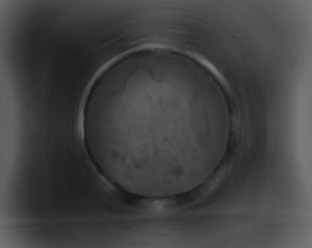 X0000100420791200806061402