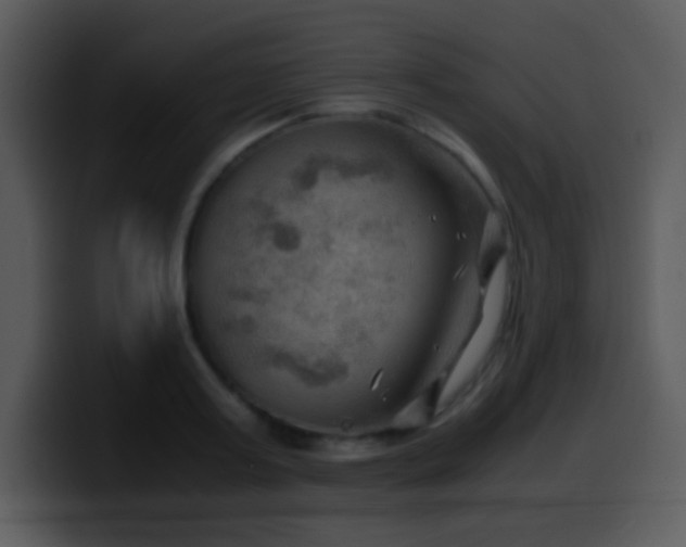 X0000100420795200806061402