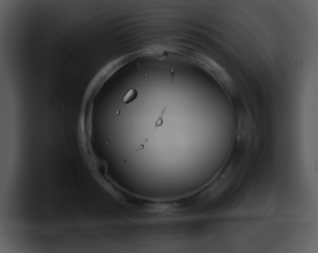 X0000100420796200806061402