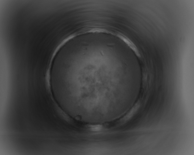 X0000100420798200806061402