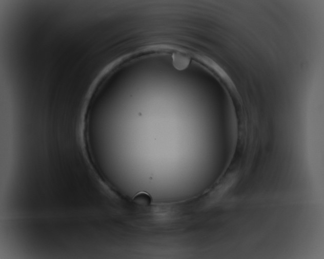 X0000100420799200806061402