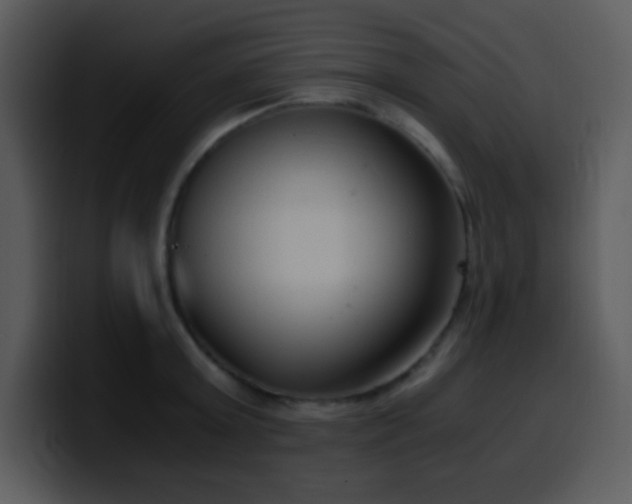X0000100420803200806061401