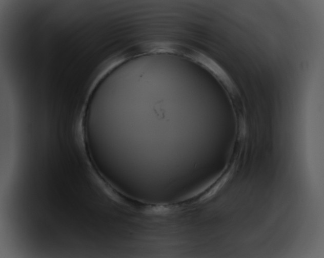 X0000100420806200806061401