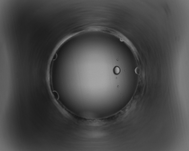 X0000100420811200806061401
