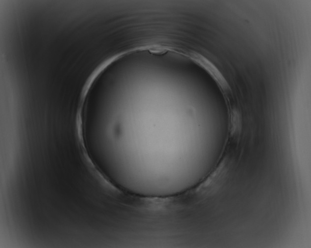 X0000100420812200806061401