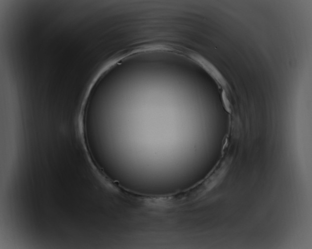 X0000100420813200806061401