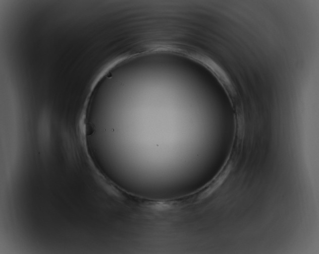 X0000100420814200806061401