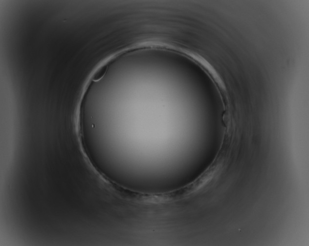 X0000100420815200806061401