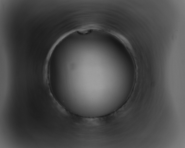 X0000100420816200806061401