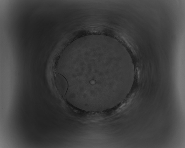 X0000100420817200806061401
