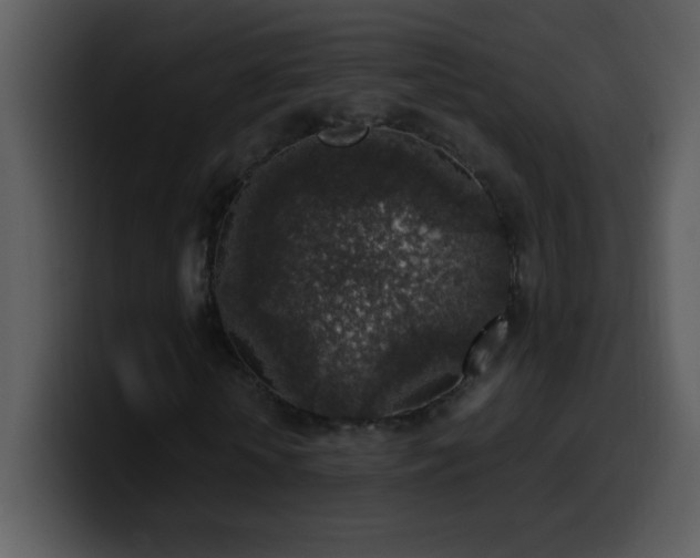 X0000100420818200806061401