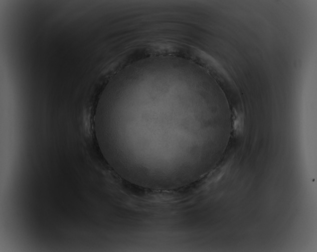 X0000100420819200806061401